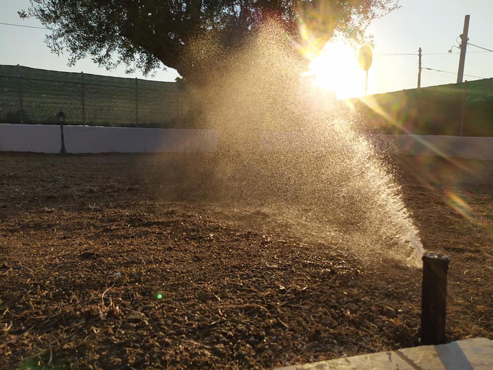 Impianto di irrigazione in funzione al tramonto